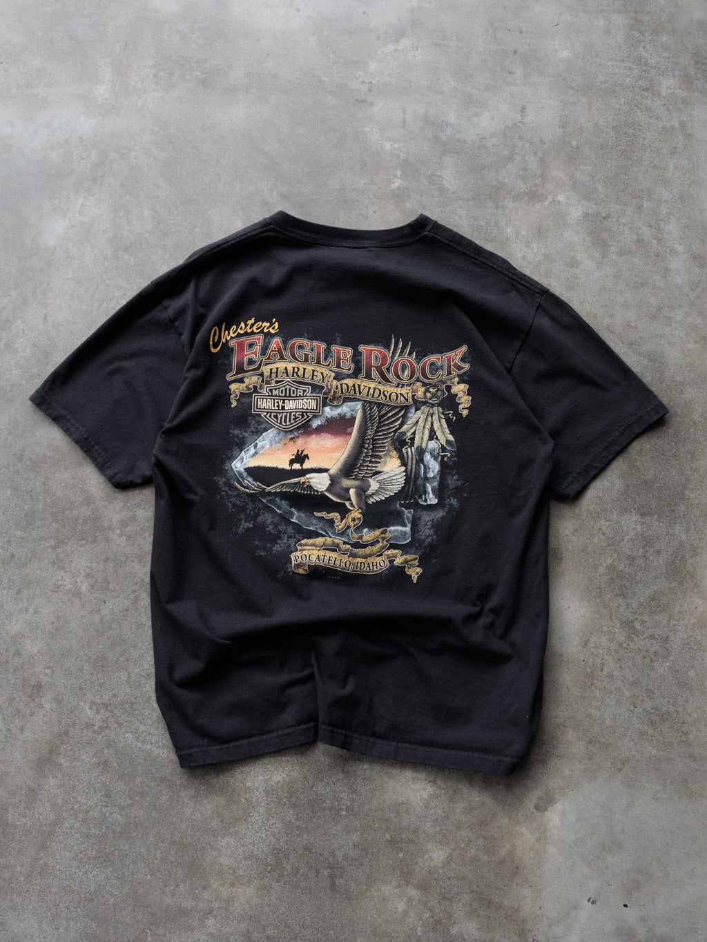 Vintage 2010 Black Harley-Davidson Pocatello Idaho Tee (L)