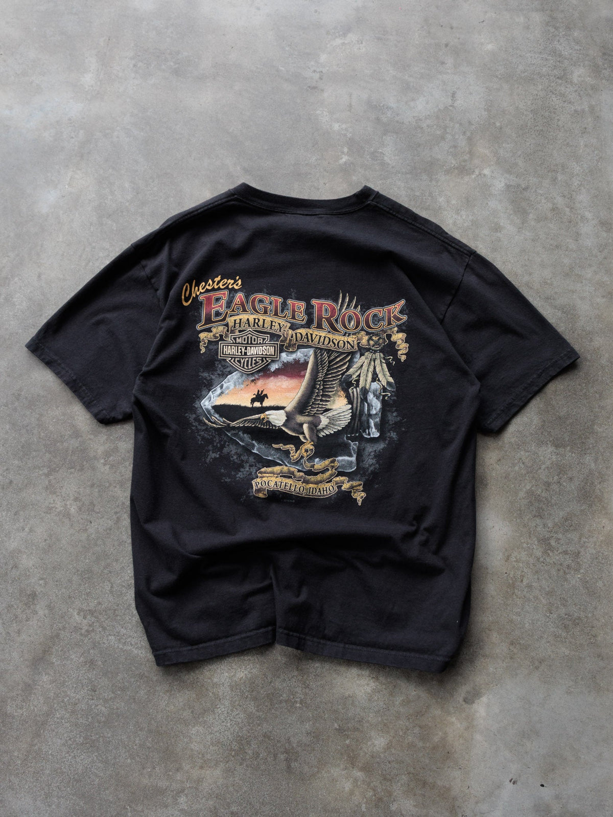 Vintage 2010 Black Harley-Davidson Pocatello Idaho Tee (L)