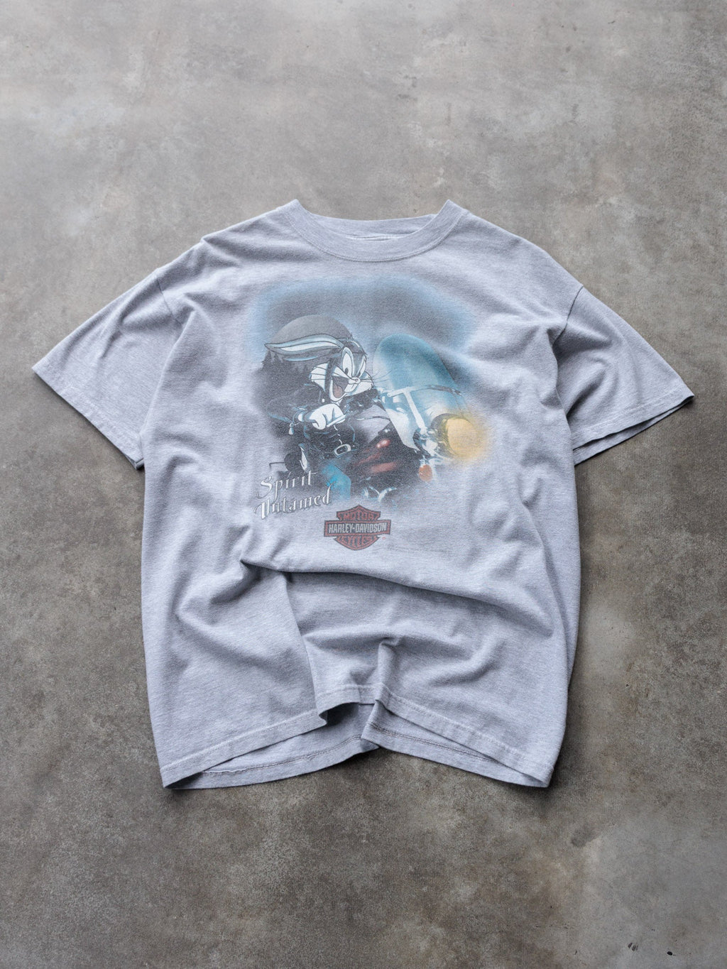 Vintage 00s Grey Harley-Davidson Roswell Georgia Tee (L)