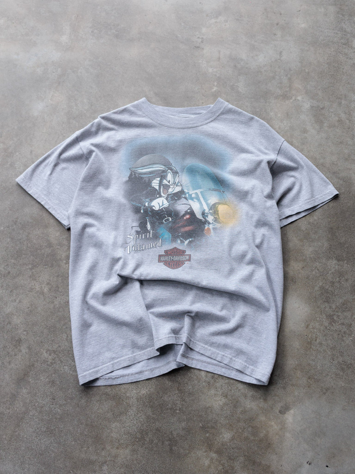 Vintage 00s Grey Harley-Davidson Roswell Georgia Tee (L)