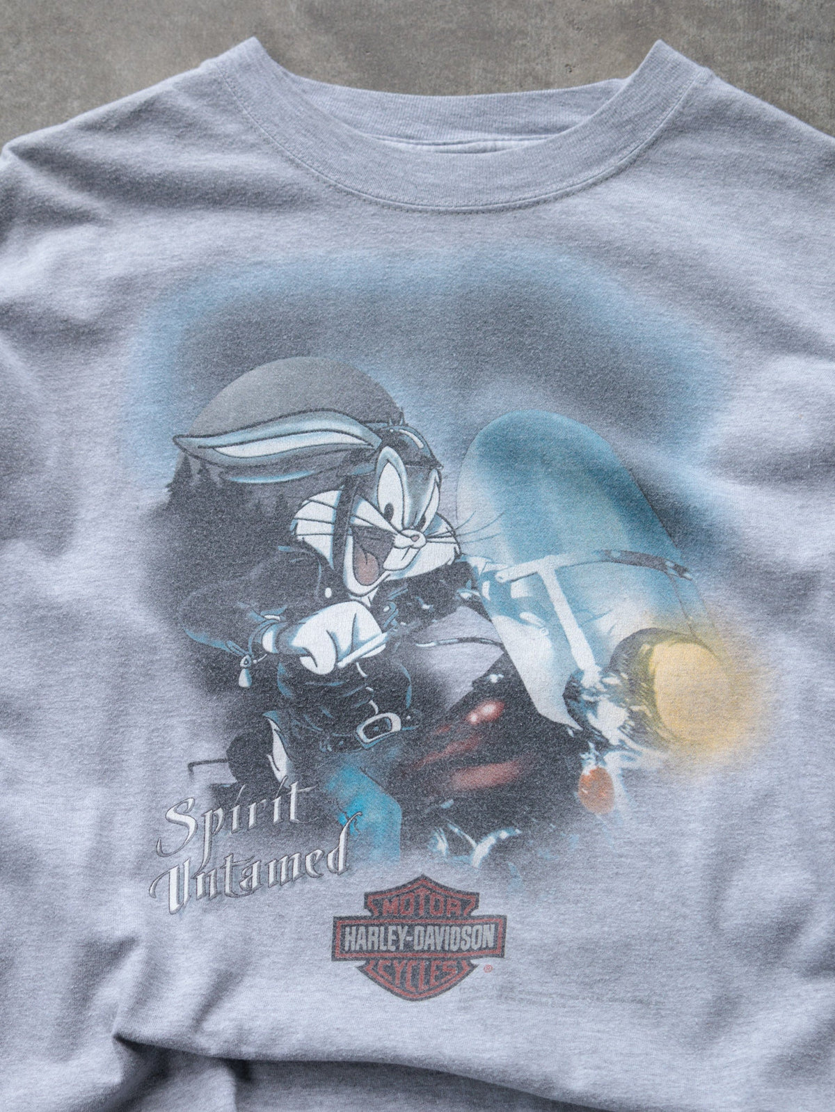 Vintage 00s Grey Harley-Davidson Roswell Georgia Tee (L)