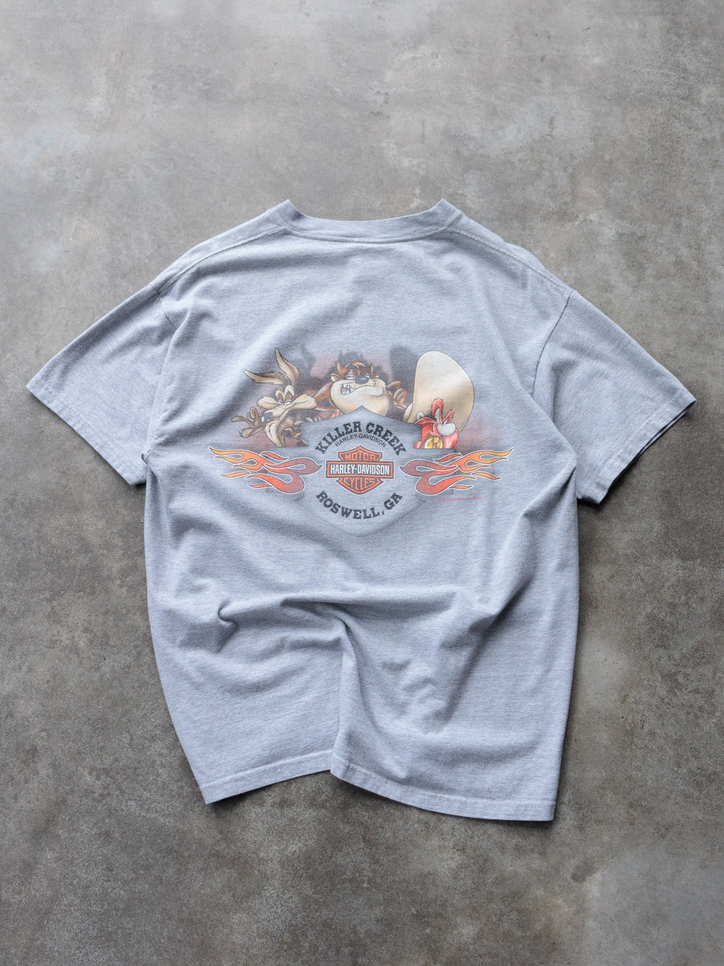 Vintage 00s Grey Harley-Davidson Roswell Georgia Tee (L)