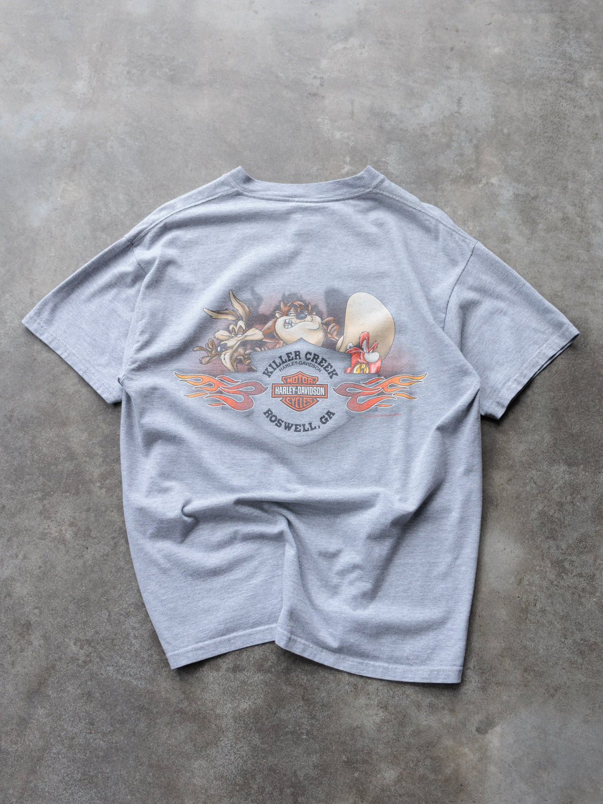 Vintage 00s Grey Harley-Davidson Roswell Georgia Tee (L)