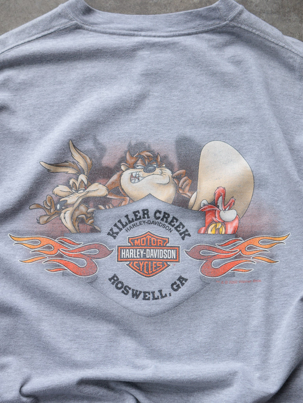 Vintage 00s Grey Harley-Davidson Roswell Georgia Tee (L)