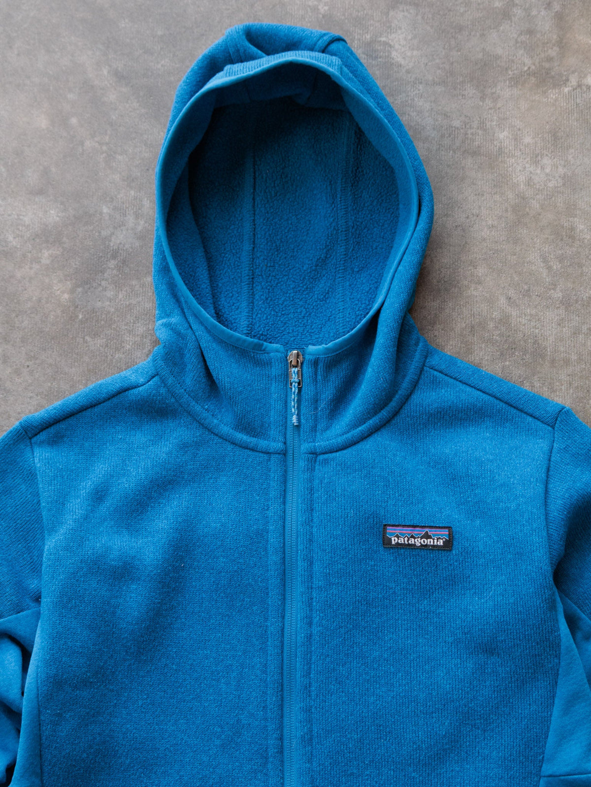 Blue Patagonia Hooded Fleece Jacket (M)